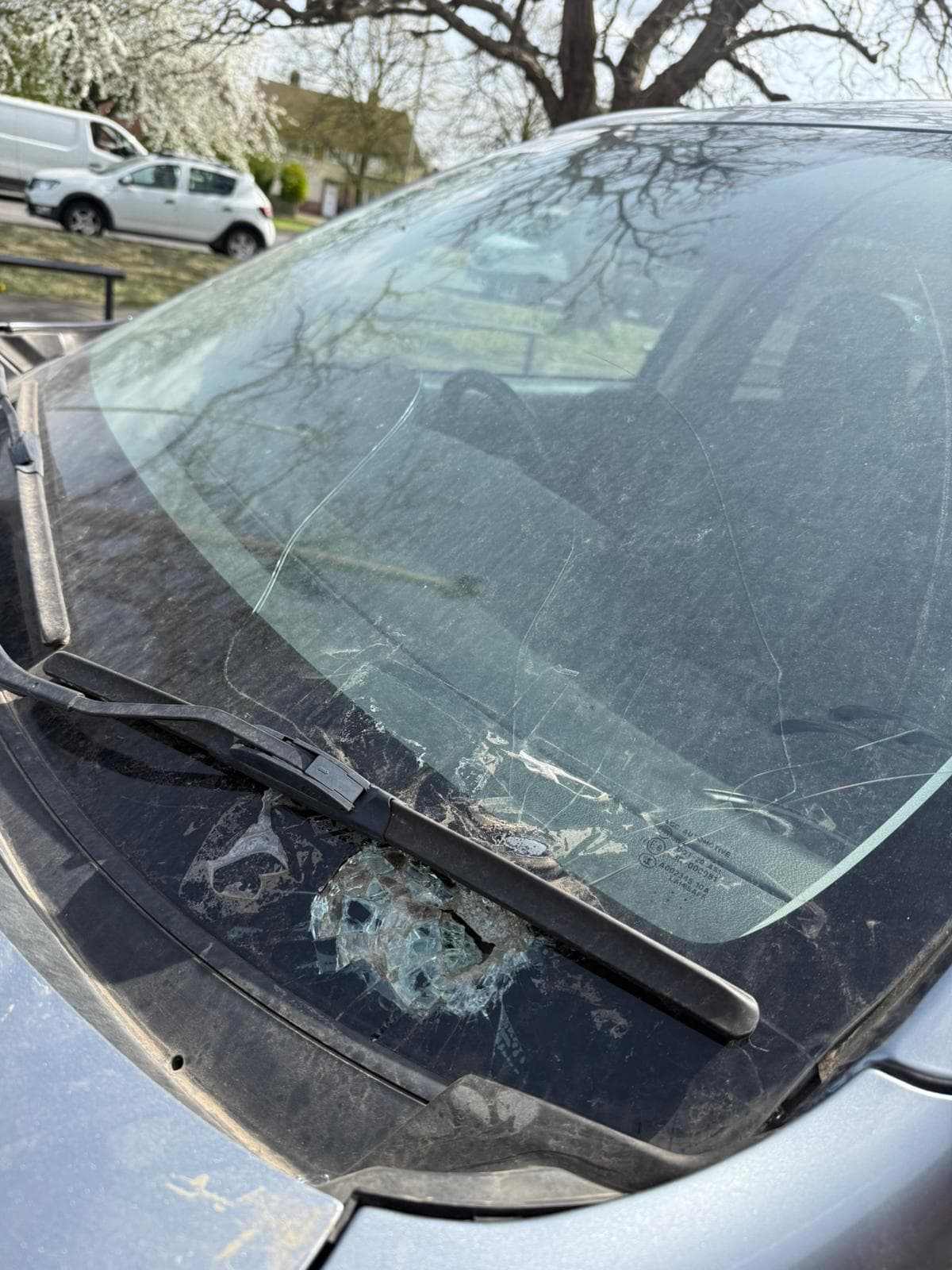 Citywide Windscreen gallery image 32
